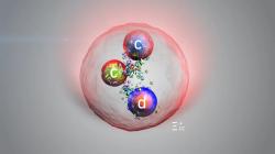 Baryon Ξ+cc (zdroj CERN)
