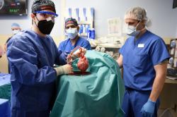 Prvý xenotransplantát srdca. (Kredit: University of Maryland Medical Center)