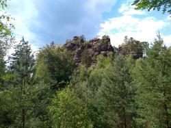 Budeme pálit lesy ve snaze mít co největší podíl obnovitelných zdrojů? České Švýcarsko. (foto Vladimír Wagner)