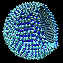 Model azotosomu o velikosti viru. Kredit: James Stevenson.