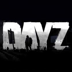 DayZ. Kredit: BIS