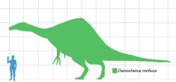 Silueta deinocheira ve velikostním srovnání s postavou dospělého člověka. Tento zdaleka největší ze známých ornitomimosaurů překonával své příbuzné z hlediska tělesné hmotnosti až desetinásobně. Dosahoval délky kolem 11 metrů a blížil se tak velikostí i severoamerickému tyranosaurovi. Kredit: Matt Martyniuk, Wikipedie