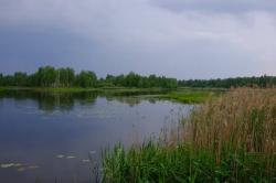 Jezero Glyboke, jedna ze studovaných lokalit. Kredit: Germán Orizaola.