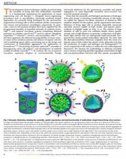 Schéma struktury živých kapek a jejich duální funkce je ke stažení zde: Xu et al. Nature Communications, 2020.