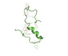 Štruktúra molekuly amyloidu – β. Kredit: Jeff Brender, Wikipedia.