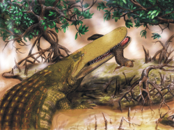 Výčet obřích dravců doplňoval také gigantický „plochohlavý“ krokodyliform Aegisuchus witmeri, dosahující pravděpodobně délky až kolem 15 metrů. Kredit: Henry P. Tsai, University of Missouri; Wikipedia (CC BY 2.5)