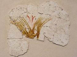 Květ šafránu. Fragment nástěnné malby z Akrotiri: Muzeum prehistorické Théry. Kredit: Olaf Tausch, Wikimedia Commons