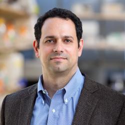Alan Saghatelian, biolog specializující se na genomiku a proteomiku. Citovám 18555x.   Kredit: Salkův institut pro biologické studie, La Jolla, CA.  https://saghatelian.salk.edu/