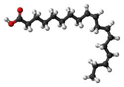 Molekula kyseliny alfa-linolenovej. Kredit: Pixabay, k volnému užití.