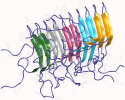 Amyloid prionového pentameru. Kredit: Wasmer, C., et al.: Protein Data Bank, CC BY 4.0
