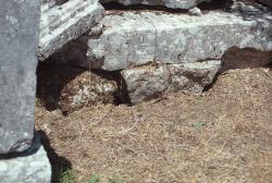 Hadí hnízdo pod bází pro antické sochy v chrámu Despoiny. Kredit: Zde, Wikimedia Commons.