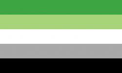Aromantická vlajka asexuálů, volné dílo.