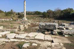 Ruiny Artemidina chrámu v Efesu. Kredit: PLBechly, Wikimedia Commons. Licence CC 4.0.