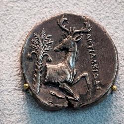 Jelen se ohlíží za palmou. Efeská stříbrná tetradrachma, průměr 24 mm, hmotnost 15,12 g, reverz, 350-340 před n. l. Altes Museum Berlin. Kredit: ArchaiOptix, Wikimedia Commons. Licence CC 4.0.