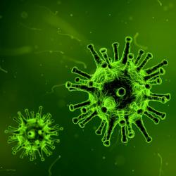 Umělý virus. Kredit: CC0 Public Domain.