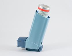 Astma ve své těžké formě může být fatální. Odhalení úlohy jednoho z proteinů náležejících do skupiny kaspáz, slibuje astmatikům a nejspíš i dalším nemocným sužovaným autoimunitními neduhy, cílenější léčbu s menšími vedlejšími účinky.