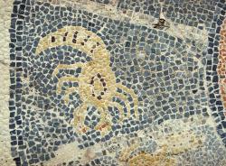 Štír. Kredit: Zde, Wikimedia Commons. Licence CC 3.0. Štír. Kredit: Zde, Wikimedia Commons. Licence CC 3.0.