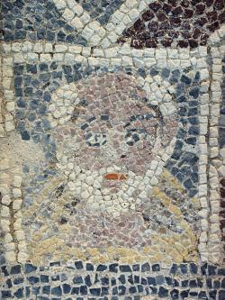 Bělovousý muž proplešlý. Kredit: Zde, Wikimedia Commons. Licence CC 3.0. Bělovousý muž proplešlý. Kredit: Zde, Wikimedia Commons. Licence CC 3.0.