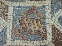 Pelikán. Kredit: Zde, Wikimedia Commons. Licence CC 3.0. Pelikán. Kredit: Zde, Wikimedia Commons. Licence CC 3.0.