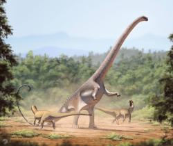 Ilustrace zobrazující obřího sauropoda druhu Barosaurus lentus, stojícího na zadních a bránícího se před útokem dvojice teropodů druhu Allosaurus fragilis. Tato scéna se odehrála před zhruba 150 miliony let na západě Severní Ameriky a fosilie jejích protagonistů jsou objevovány v sedimentech geologického souvrství Morrison. Kredit: Fred Wierum; Wikipedia (CC BY-SA 4.0)