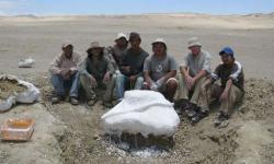 Paleontologové z Muzea v Limě a Paříže s poněkud zimrmanovským tvrzením: „Tam uvnitř vidíte část kostry tvora Mystacodon selenensis.“   (Kredit: Giovanni Bianucci)