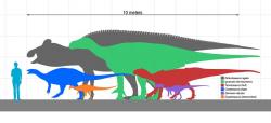 Iguanodoni byli velcí ptakopánví dinosauři, jak ukazuje i toto velikostní porovnání s dalšími ornitopody a dospělým člověkem. Nedosahovali sice rozměrů největších kachnozobých dinosaurů, i tak ale byli s délkou kolem 10 metrů a hmotností několika tun jedněmi z největších živočichů ve svých ekosystémech. Kredit: Slate Weasel; Wikipedie (volné dílo)