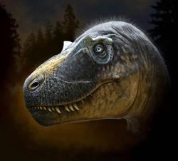 Rekonstrukce přibližného vzezření hlavy nově popsaného tyranosaurida druhu Daspletosaurus wilsoni. Všechny tři známé druhy daspletosaura jsou spolu s druhem Thanatotheristes degrootorum řazeni do společné vývojové skupiny (kladu) Daspletosaurini. Kredit: Andrej Atuchin a Badlands Dinosaur Museum.