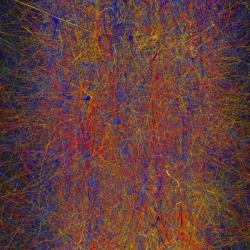 Výsek simulace mozkové kůry potkana. Kredit: Blue Brain Project /EPFL.