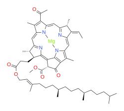 Obr. 7 Bakteriochlorofyl (zdroj: Wikipedia) Obr. 7 Bakteriochlorofyl (zdroj: Wikipedia)