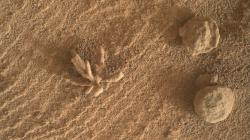 „Korál“ na snímku Curiosity z roku 2022. Kredit: NASA/JPL-Caltech/MSSS.