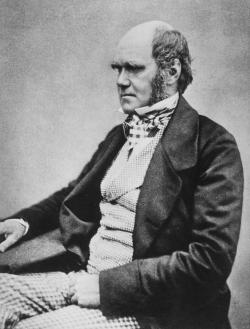 Fotografie Charlese Roberta Darwina, pořízená pravděpodobně v roce 1854, tedy pět let před vydáním jeho stěžejního díla O původu druhů přírodním výběrem. Kredit: Wikipedia (volné dílo)
