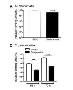 Graf ukazuje množení chlamydií v buněčné kultuře. C. trachomatis je nepatrně inhibována (černý sloupec) proti kontrole (bílý sloupec). U C. pneumoniae je už inhibice výraznější. (Kredit: DOI: 10.26508/lsa.201800292, CC BY 4.0)