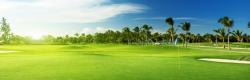Chlorothalonil je vysoce oblíbený u provozovatelů golfových areálů. Výrobce garantuje vysokou účinnost, hezky zelené trávníky, malou rezistenci na přípravek. (Kredit: Prime Source)
