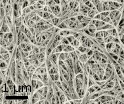 Uhlíkové nanotrubičky. Kredit: Materialscientist / Wikimedia Commons.