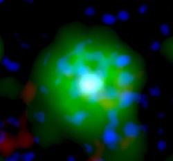Spletenec v neonové mlze. Kredit: ESA/XMM-Newton, L. Oskinova/Univ. Potsdam.