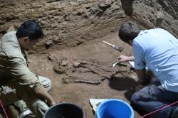 Profesor Tim Maloney (Griffith University) s nálezem kostí v jeskyni Liang Tebo, východní Kalimantan, Borneo. Kredit: Tim Maloney