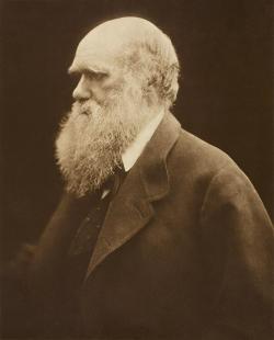 Charles Darwin – autor teorie odporující lamackismu. (Autorka: Julia Margaret Cameron).