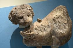 Lev útočí na býka. Torzo z východního průčelí Apollónova chrámu v Delfách. Parský mramor, 510-500 před n. l. Archeologické muzeum v Delfách. Kredit: Zde, Wikimedia Commons. Licence CC 4.0.