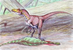 Přibližná podoba dosud velmi záhadného teropodního dinosaura druhu Deltadromeus agilis. Kredit: Dmitrij Bogdanov; Wikipedia (CC BY 3.0)