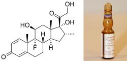 Dexametazon (DMX). Syntetický steroidní hormon (kortikosteroid) odvozený od přirozených hormonů vytvářených v kůře nadledvin. Z leukosomů udělá zvláště účinného pomocníka umravňujícího zánět, který se vymkl kontrole a škodí.