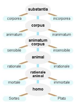 Porfyriův strom podle Petrus Hispanus tractatus II, ed. L.M. de Rijk, 20. Kredit: I.R. Annie, Wikimedia Commons. Licence CC 3.0.