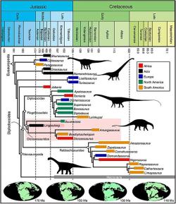 Chronologicky kalibrovaný evoluční strom skupiny Eusauropoda. Xing Xu et al. Kredit: Levi bernardo, Wikimedia Commons. Licence CC 4.0.