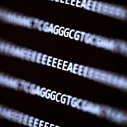 Kdy se dočkáme malwaru v DNA? Kredit: Dennis Wise/University of Washington.