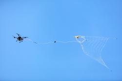Lovecká kvadrikoptéra chytá cizí dron do vystřelovací sítě. Kredit: Delft Dynamics.
