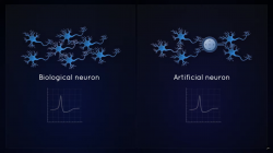 Přírodní a umělý neuron. Kredit: Axorus.