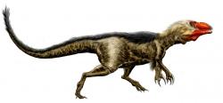 Současná představa o vzezření dryptosaura, jakožto aktivního predátora, který mohl být na některých částech těla opeřený. Dosud ale nevíme s jistotou, zda měl na předních končetinách skutečně tři prsty. Při hmotnosti nosorožce představoval nebezpečného dravce, proti svému slavnějšímu současníkovi druhu T. rex byl ale pouze teropodem střední velikostní kategorie. Kredit: Josep Asensi, Wikipedie (CC BY 3.0)