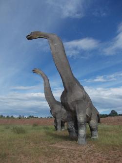 Další povedené modely z JuraParku Krasiejów, tentokrát pozdně jurského sauropoda brachiosaura. Modely představují asi 3/4 skutečné velikosti těchto dinosaurů, přesto jsou z blízkého pohledu impozantní. Kredit: Autor článku.