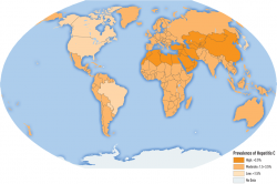 Epidemiologie hepatitidy E. Kredit: World Health Organization. The Global Prevalence of Hepatitis E Virus Infection and Susceptibility: A Systematic Review. http://whqlibdoc.who.int/hq/2010/WHO