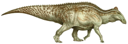 Výtvarná rekonstrukce kachnozobého dinosaura rodu Edmontosaurus. Je možné, že stehenní kost objevená v údajně již paleocenních vrstvách starých 65,7 až 65,9 milionu let patřila právě zástupci tohoto velmi úspěšného severoamerického hadrosaurida? Kredit: Natee Puttapipat (z práce Drumheller, S. K. et al., 2022); Wikipedia (CC BY 4.0)