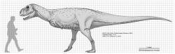 Porovnání velikosti ekrixinatosaura a dospělého člověka. Tento rod patřil mezi středně velké abelisauridy a žil ve stínu mnohem většího karcharodontosaurida giganotosaura. Kredit: Henrique Paes, Wikipedie (CC BY-SA 4.0)